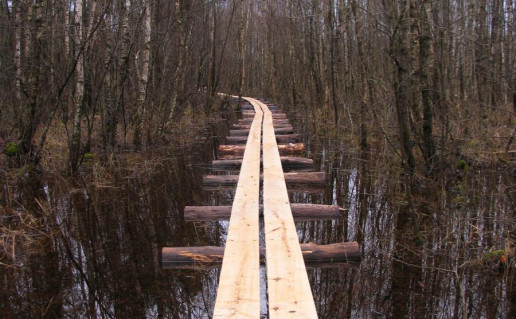 19_parsezerio takas (1).jpg